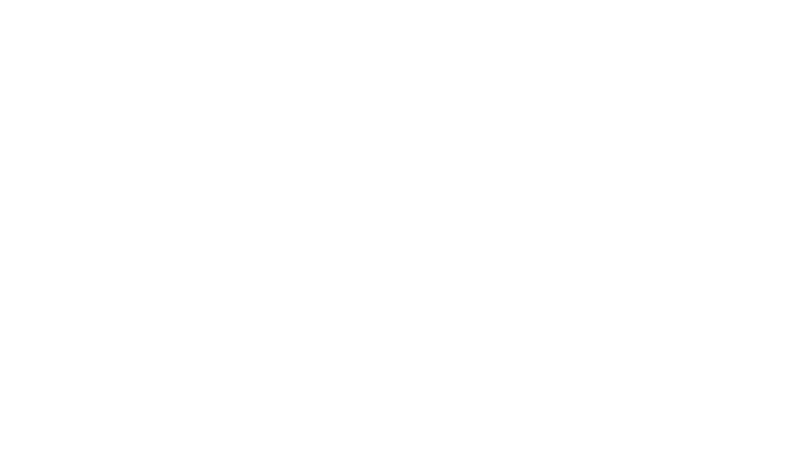 Lio-2