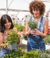 444240_ Nurseryˌ Garden Centerˌ and Farm Supply Retailers